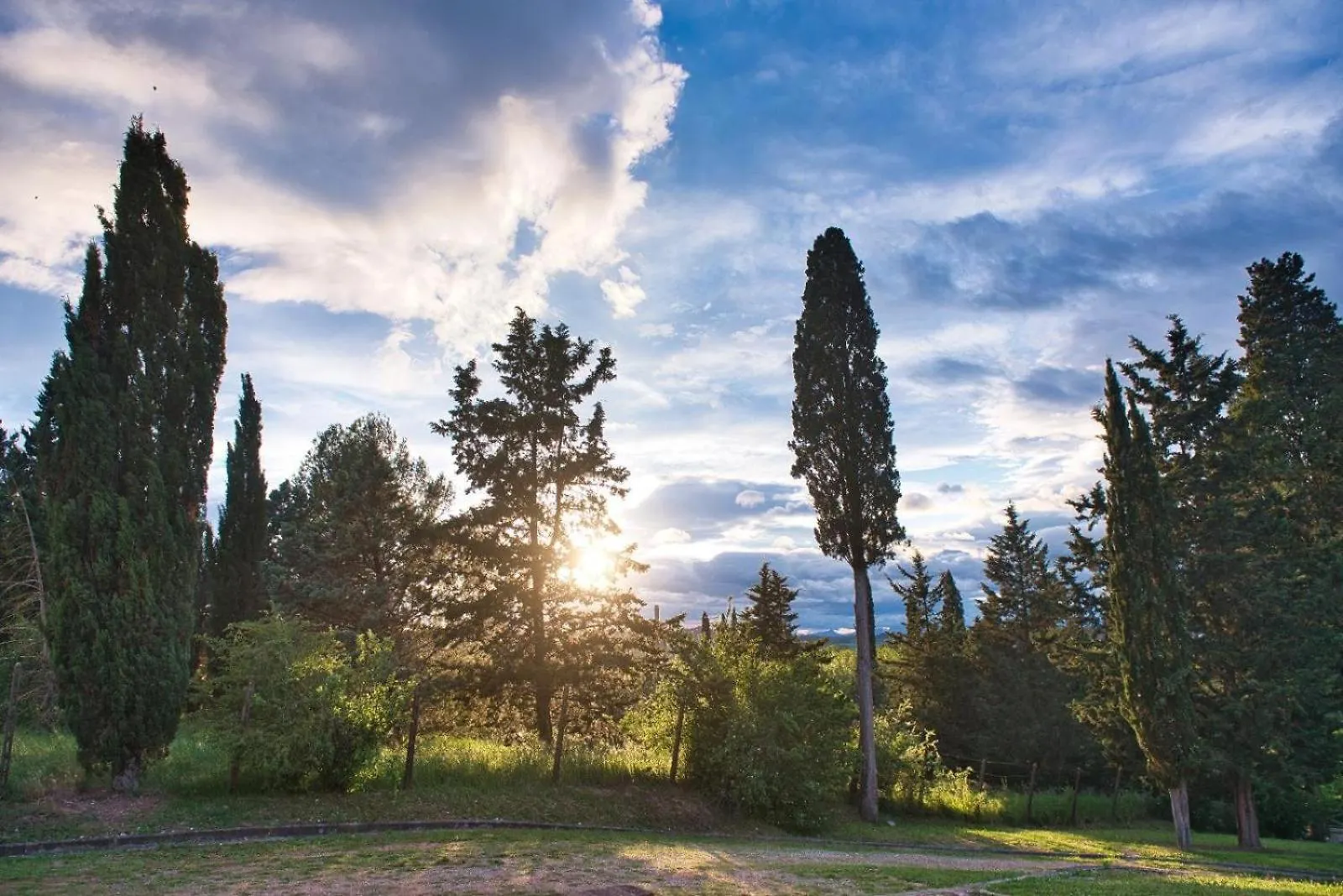 Niccoli'S Holiday Home In Tuscany Castelfiorentino